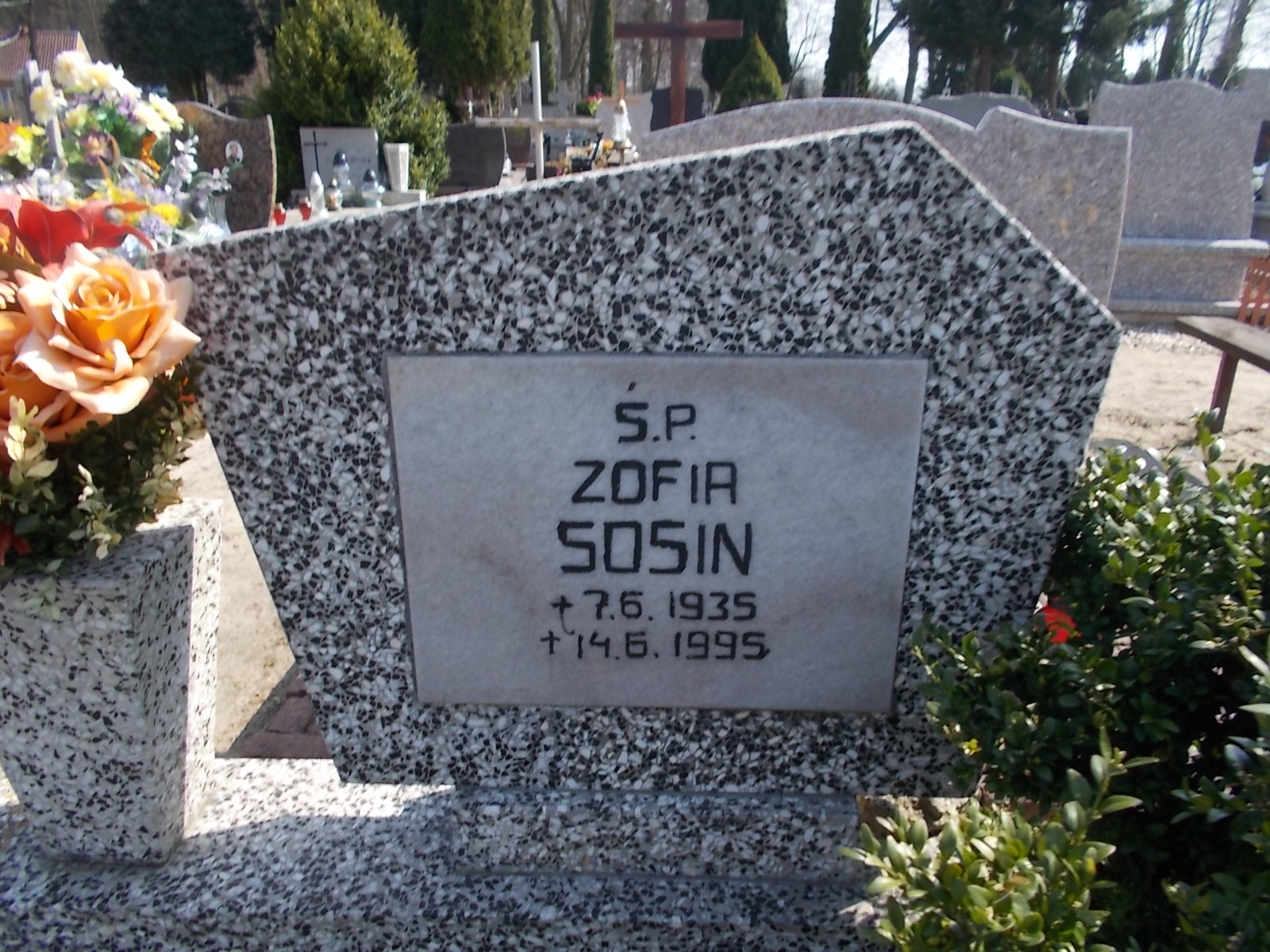 Józef Siemaszkiewicz 1909 Prabuty - Grobonet - Wyszukiwarka osób pochowanych