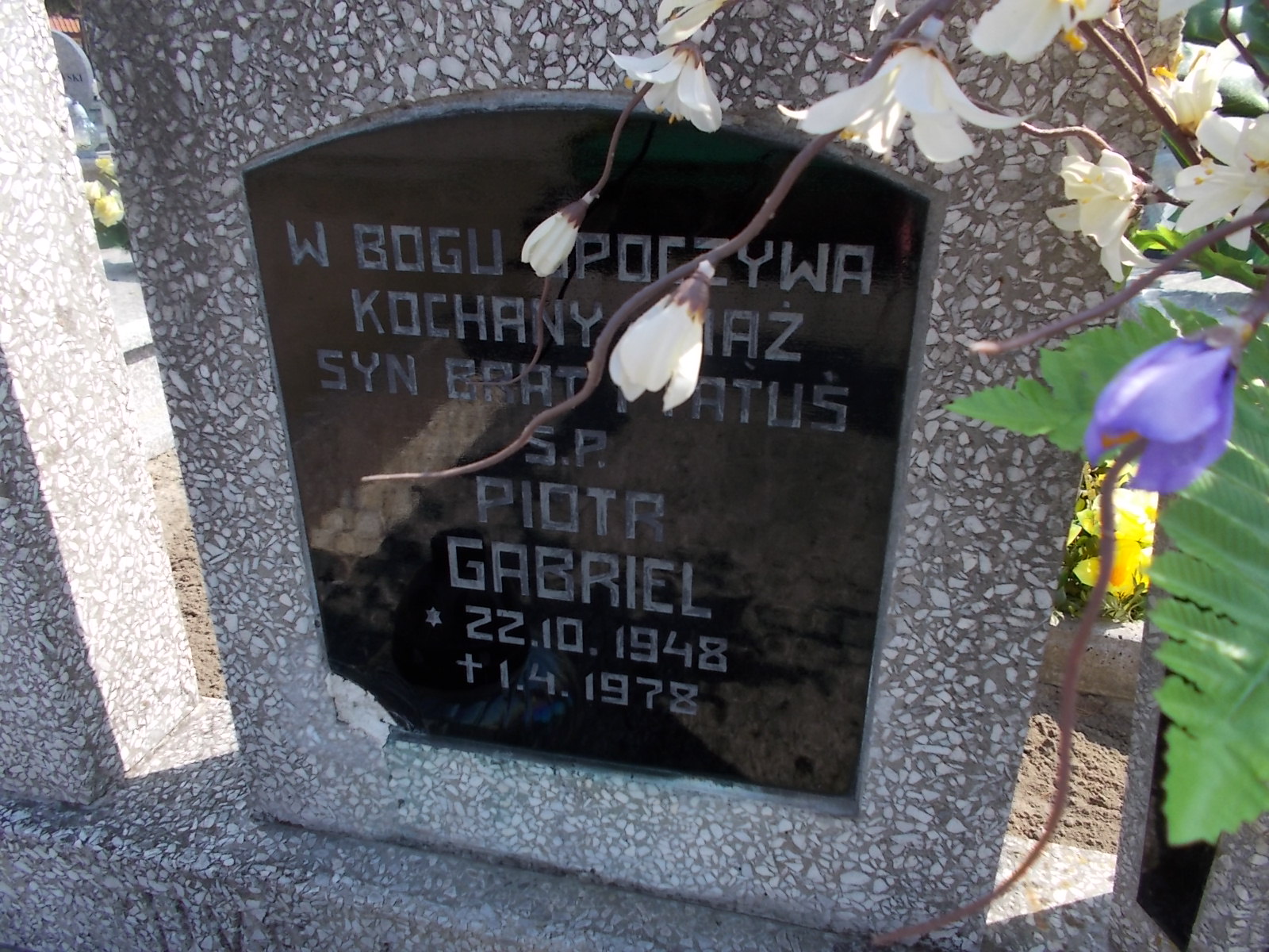 Piotr Gabriel 1948 Prabuty - Grobonet - Wyszukiwarka osób pochowanych