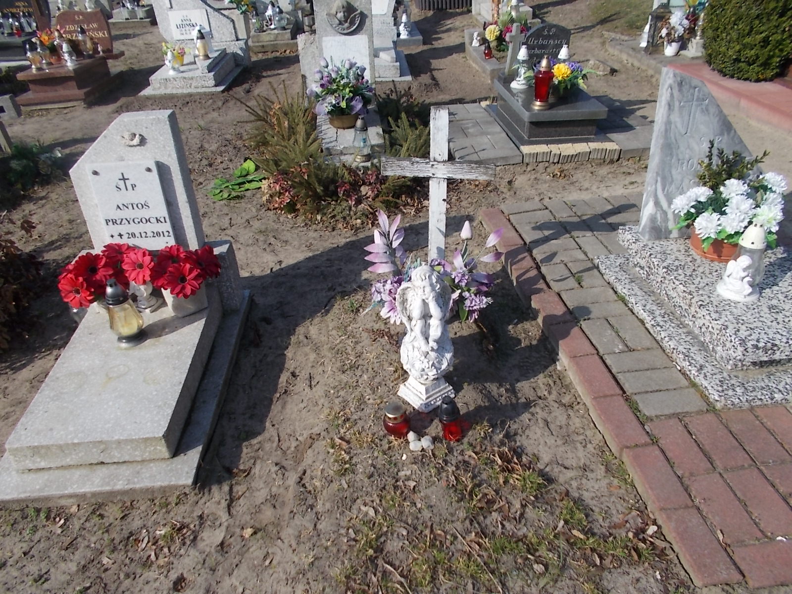  NN Prabuty - Grobonet - Wyszukiwarka osób pochowanych