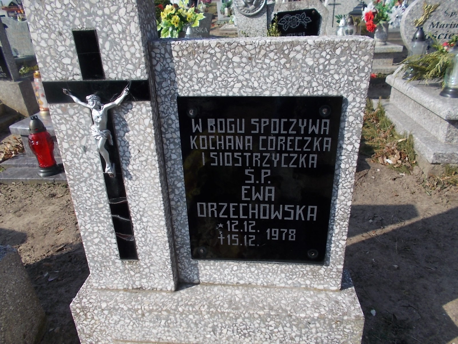 Ewa Orzechowska 1978 Prabuty - Grobonet - Wyszukiwarka osób pochowanych