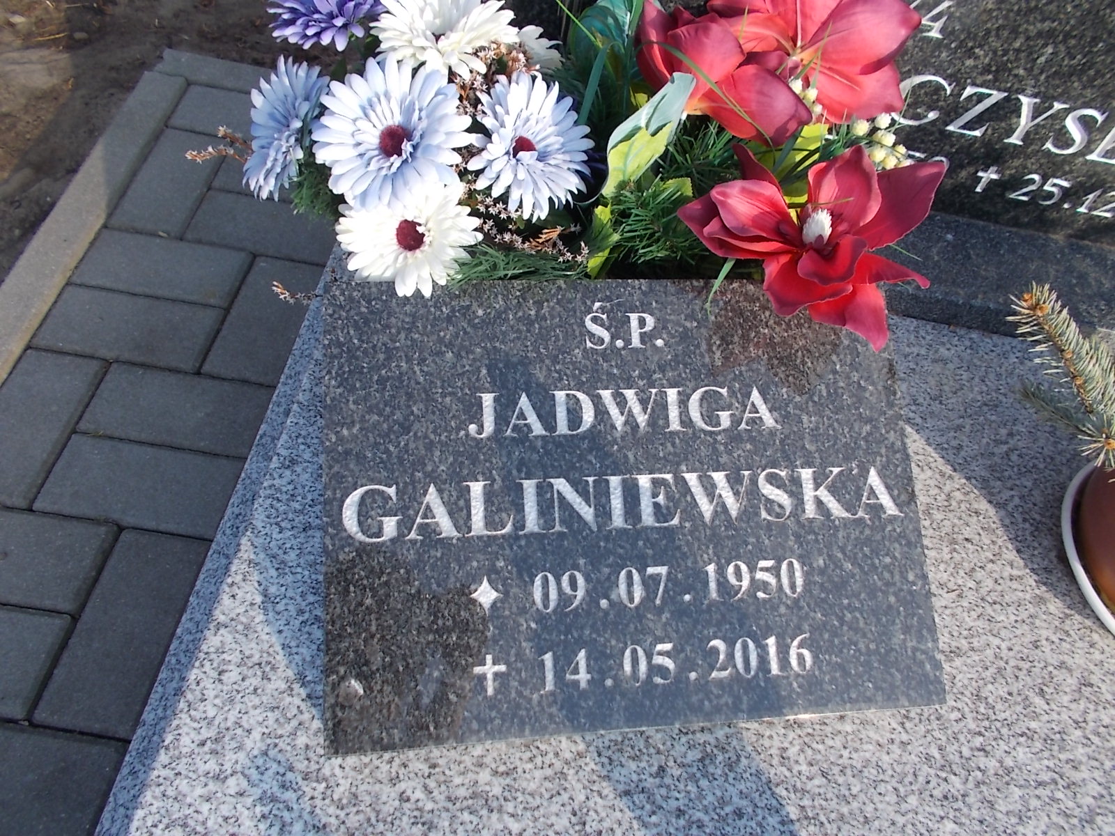 Jan Lech 1920 Prabuty - Grobonet - Wyszukiwarka osób pochowanych