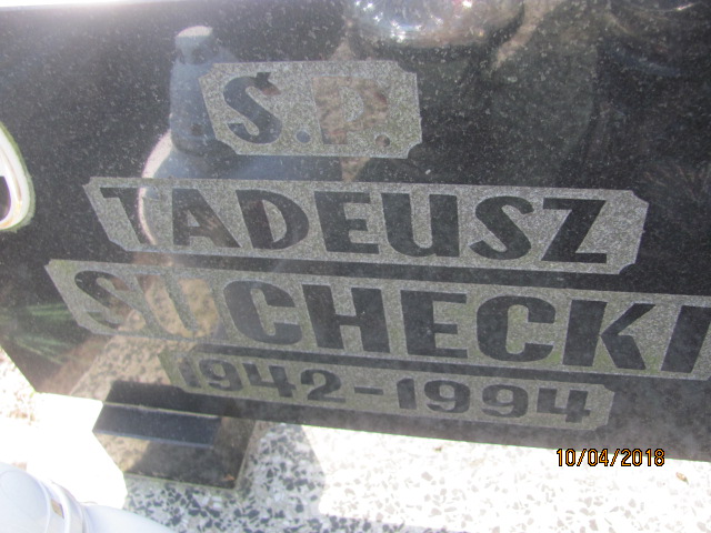 Wanda Suchecka  1951 Prabuty - Grobonet - Wyszukiwarka osób pochowanych