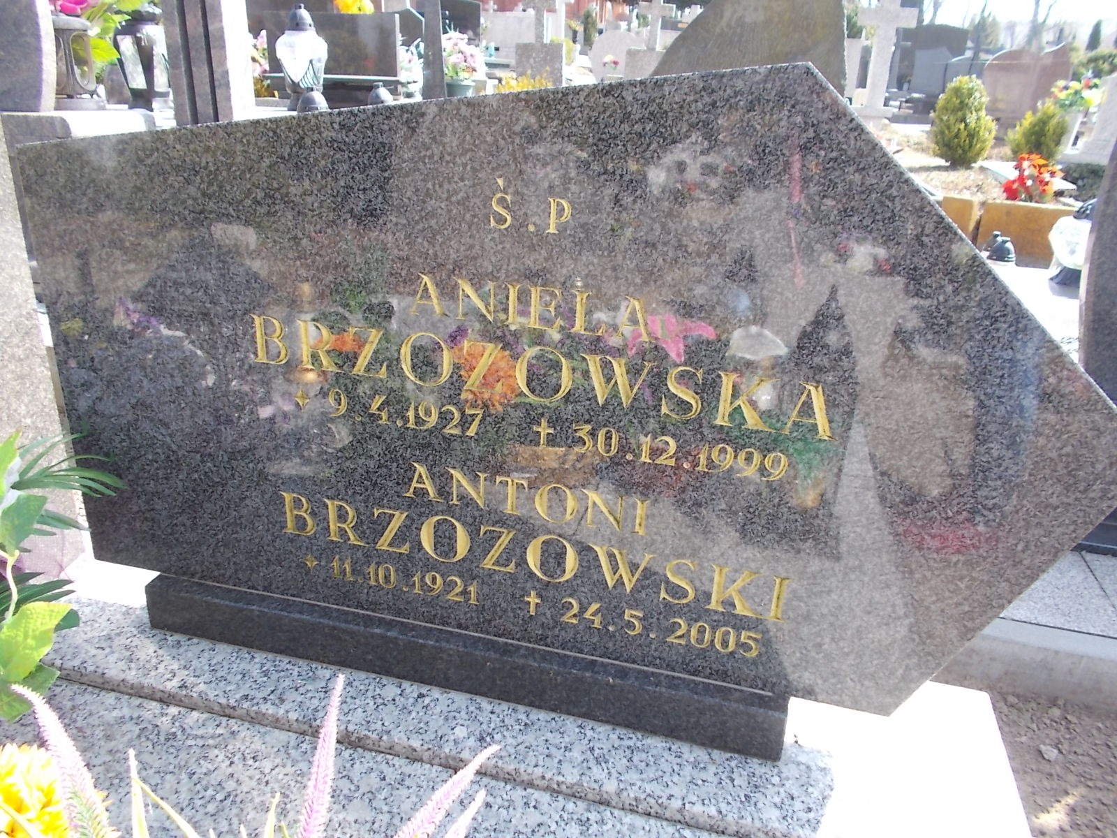 Antoni Brzozowski 1921 Prabuty - Grobonet - Wyszukiwarka osób pochowanych