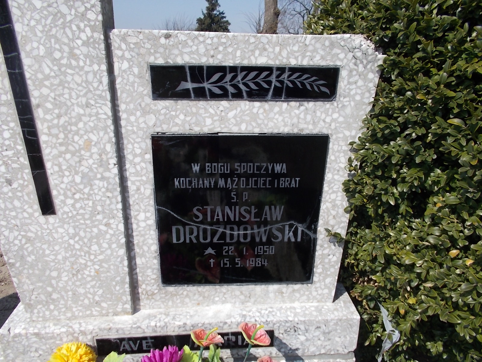 Stanisław Drozdowski  1950 Prabuty - Grobonet - Wyszukiwarka osób pochowanych