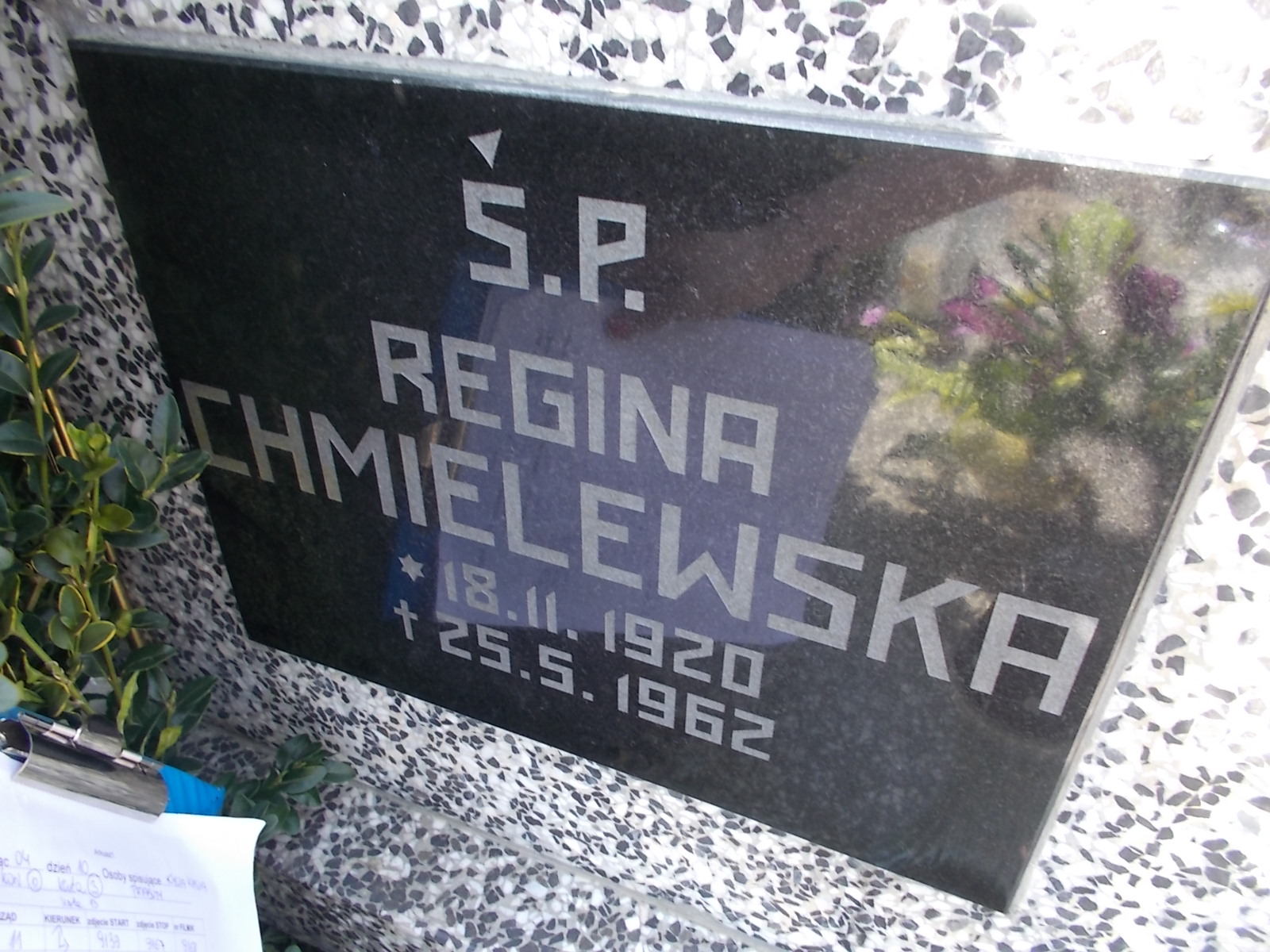 Regina Chmielewska 1920 Prabuty - Grobonet - Wyszukiwarka osób pochowanych