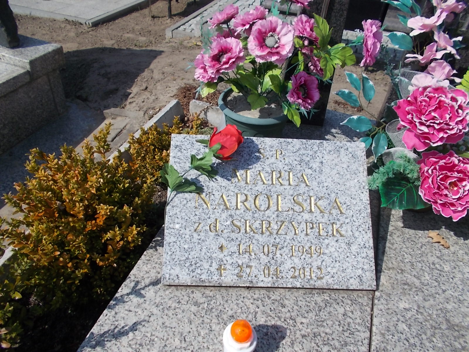 Maria Narolska 1949 Prabuty - Grobonet - Wyszukiwarka osób pochowanych