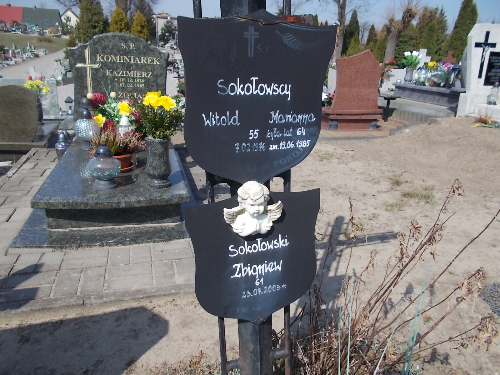 Witold Sokołowski 1921 Prabuty - Grobonet - Wyszukiwarka osób pochowanych