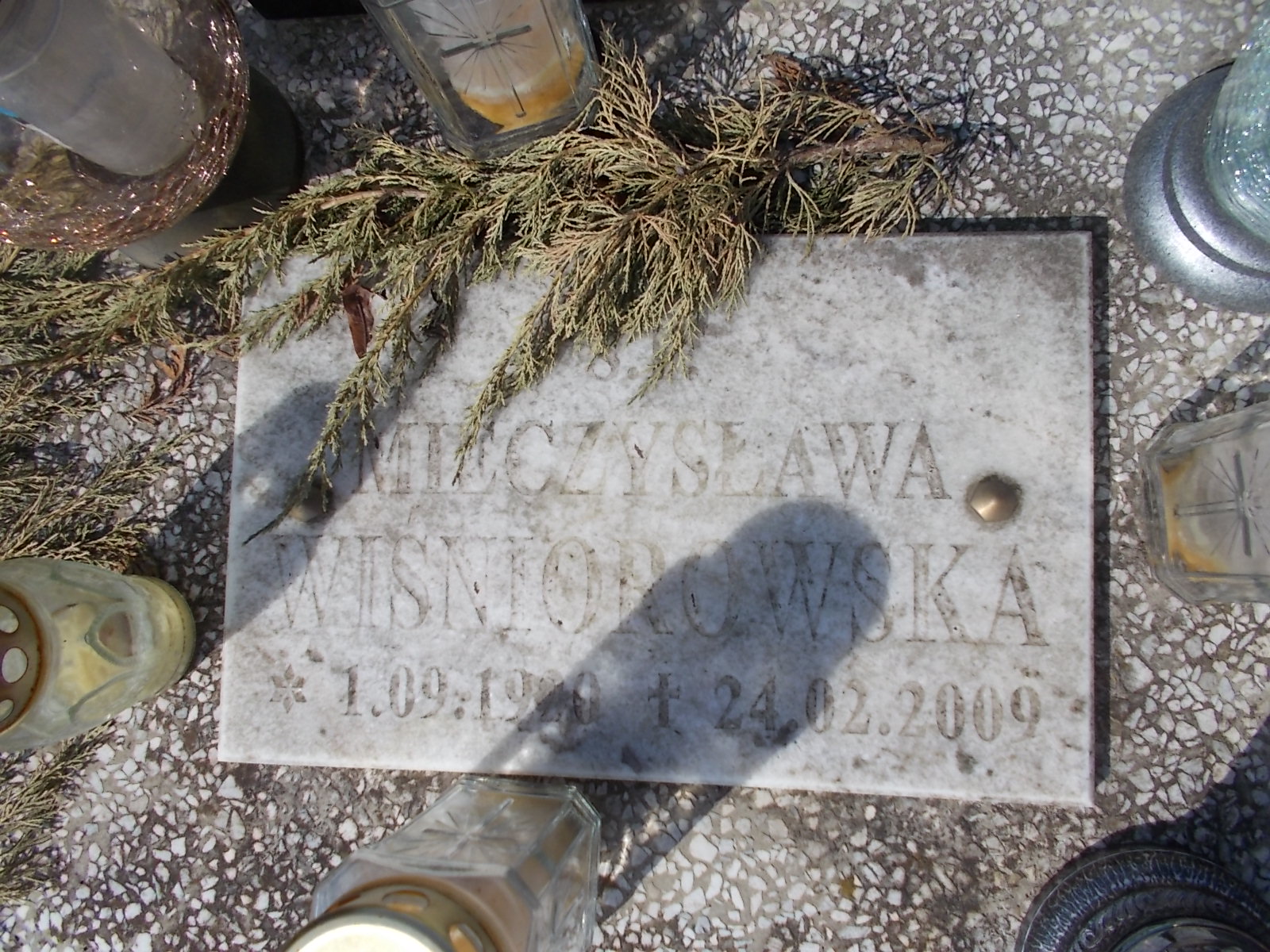 Apolonia Janicka 1890 Prabuty - Grobonet - Wyszukiwarka osób pochowanych