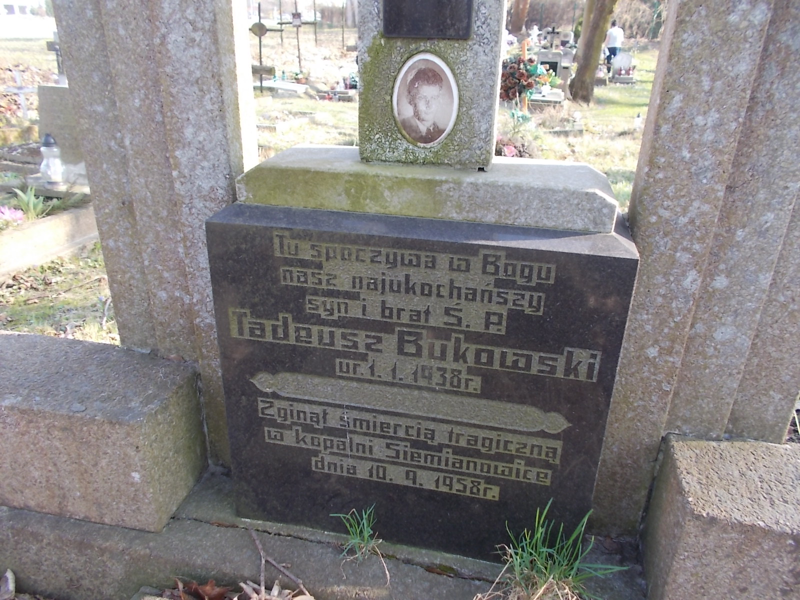 Tadeusz Bukowski 1938 Prabuty - Grobonet - Wyszukiwarka osób pochowanych